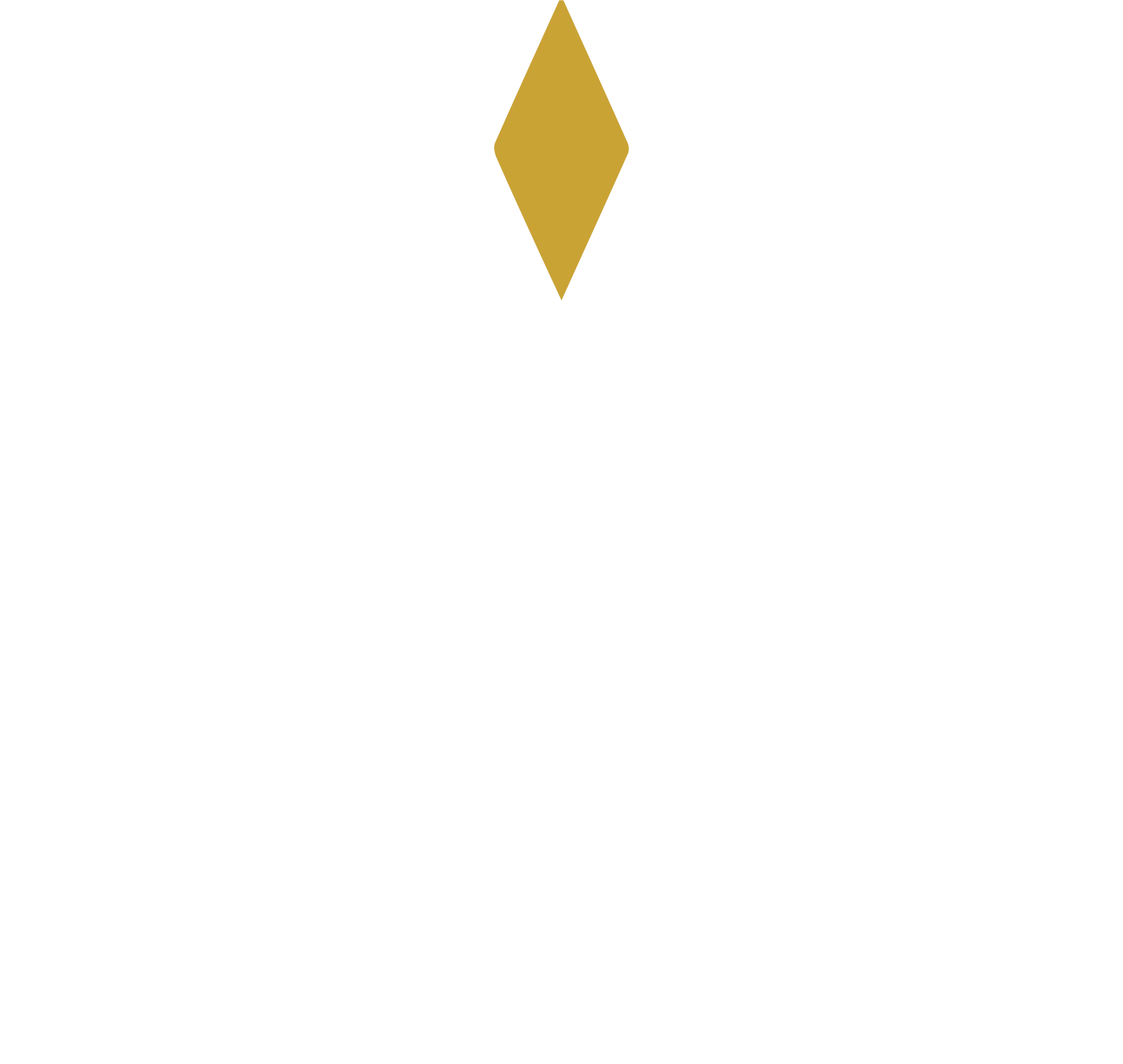 Maison Logo